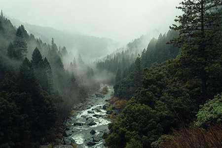 Misty valley with lake and trees.